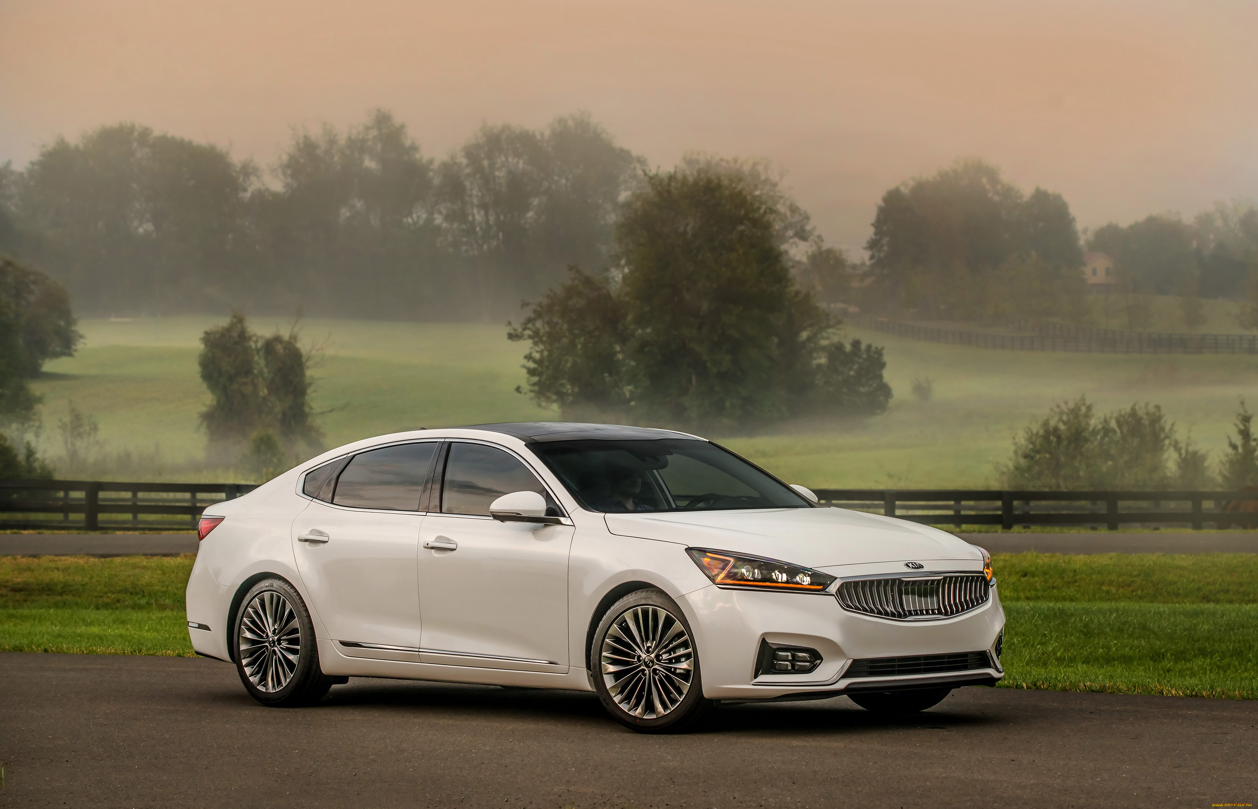 , kia, 2017, north, cadenza, america